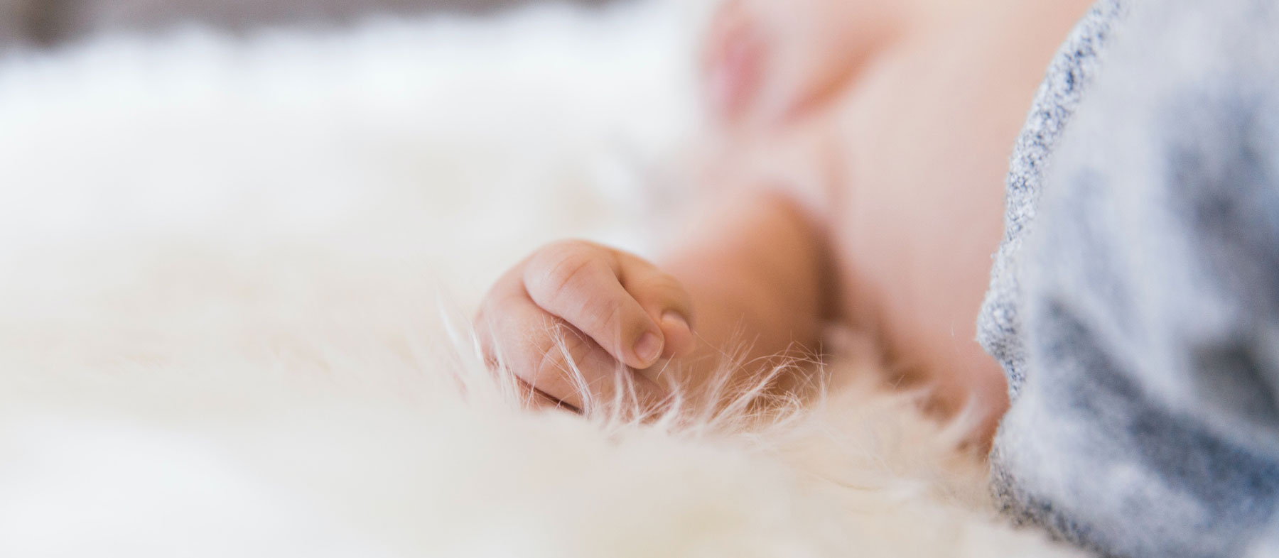elfi-e-fate-baby